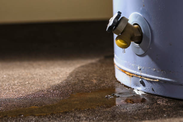 Best Water damage contractors near me  in Holland, OH