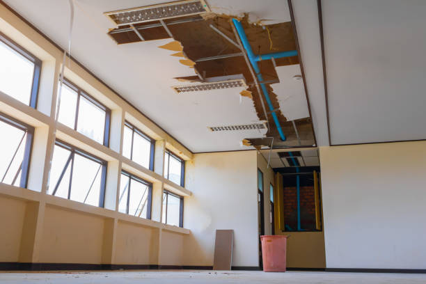 Best Carpet water damage restoration  in Holland, OH