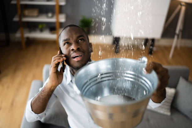 Best Ceiling water damage repair  in Holland, OH