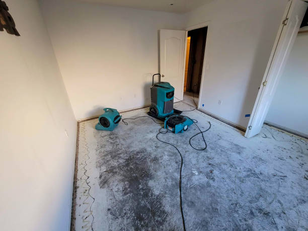 Best Mold removal after water damage  in Holland, OH