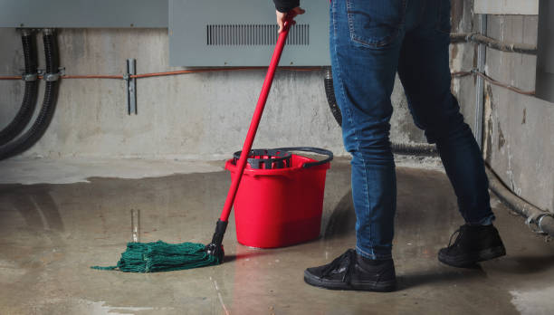 Best Sewage cleanup and water damage restoration  in Holland, OH