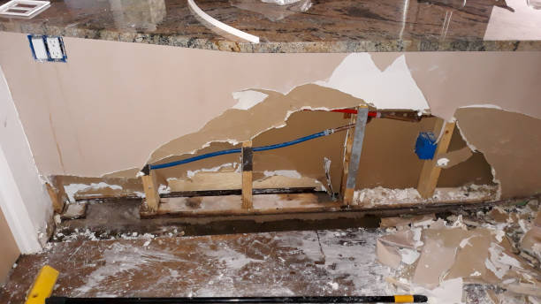 Professional Water damage restoration in Holland, OH