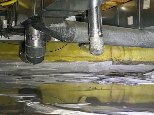Best Flood damage cleanup  in Holland, OH