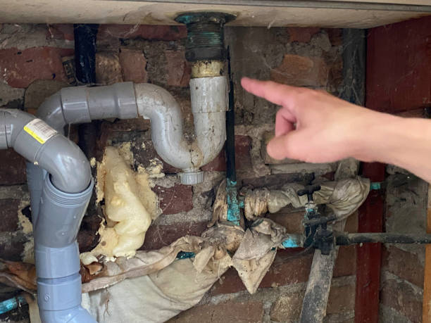 Best Fire Damage Restoration  in Holland, OH